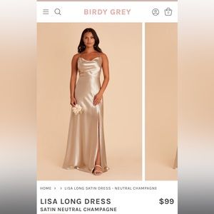 Birdy Grey Lisa Long Bridesmaids Dress- In Satin Neutral Champagne color